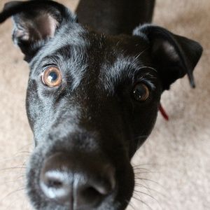 Meet your Poshers, Bennett and Delaney!